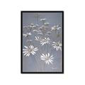 Picture of Daisy Flower _GroupedProduct_Rectangle_Portrait_Framed_Matted_