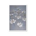 Picture of Daisy Flower _GroupedProduct_Rectangle_Portrait_Framed_Matted_