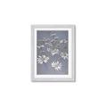 Picture of Daisy Flower _GroupedProduct_Rectangle_Portrait_Framed_Matted_