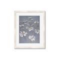 Picture of Daisy Flower _GroupedProduct_Rectangle_Portrait_Framed_Matted_