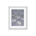 Picture of Daisy Flower _GroupedProduct_Rectangle_Portrait_Framed_Matted_