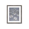 Picture of Daisy Flower _GroupedProduct_Rectangle_Portrait_Framed_Matted_