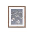 Picture of Daisy Flower _GroupedProduct_Rectangle_Portrait_Framed_Matted_