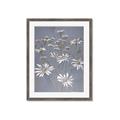 Picture of Daisy Flower _GroupedProduct_Rectangle_Portrait_Framed_Matted_