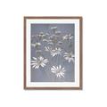 Picture of Daisy Flower _GroupedProduct_Rectangle_Portrait_Framed_Matted_