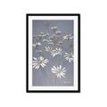 Picture of Daisy Flower _GroupedProduct_Rectangle_Portrait_Framed_Matted_