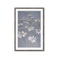 Picture of Daisy Flower _GroupedProduct_Rectangle_Portrait_Framed_Matted_