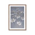 Picture of Daisy Flower _GroupedProduct_Rectangle_Portrait_Framed_Matted_