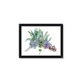 Picture of Succulent Group _GroupedProduct_Rectangle_Landscape_Framed_Matted_
