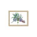 Picture of Succulent Group _GroupedProduct_Rectangle_Landscape_Framed_Matted_