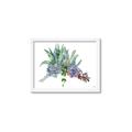 Picture of Succulent Group _GroupedProduct_Rectangle_Landscape_Framed_Matted_