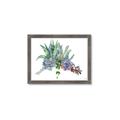 Picture of Succulent Group _GroupedProduct_Rectangle_Landscape_Framed_Matted_