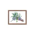 Picture of Succulent Group _GroupedProduct_Rectangle_Landscape_Framed_Matted_