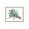Picture of Succulent Group _GroupedProduct_Rectangle_Landscape_Framed_Matted_
