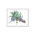 Picture of Succulent Group _GroupedProduct_Rectangle_Landscape_Framed_Matted_