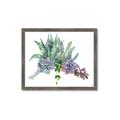 Picture of Succulent Group _GroupedProduct_Rectangle_Landscape_Framed_Matted_