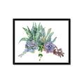 Picture of Succulent Group _GroupedProduct_Rectangle_Landscape_Framed_Matted_