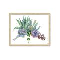 Picture of Succulent Group _GroupedProduct_Rectangle_Landscape_Framed_Matted_