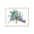 Picture of Succulent Group _GroupedProduct_Rectangle_Landscape_Framed_Matted_