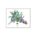 Picture of Succulent Group _GroupedProduct_Rectangle_Landscape_Framed_Matted_