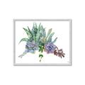 Picture of Succulent Group _GroupedProduct_Rectangle_Landscape_Framed_Matted_