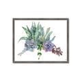 Picture of Succulent Group _GroupedProduct_Rectangle_Landscape_Framed_Matted_