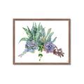 Picture of Succulent Group _GroupedProduct_Rectangle_Landscape_Framed_Matted_