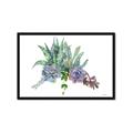 Picture of Succulent Group _GroupedProduct_Rectangle_Landscape_Framed_Matted_