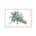 Picture of Succulent Group _GroupedProduct_Rectangle_Landscape_Framed_Matted_