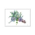 Picture of Succulent Group _GroupedProduct_Rectangle_Landscape_Framed_Matted_