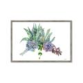 Picture of Succulent Group _GroupedProduct_Rectangle_Landscape_Framed_Matted_