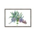 Picture of Succulent Group _GroupedProduct_Rectangle_Landscape_Framed_Matted_
