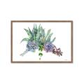 Picture of Succulent Group _GroupedProduct_Rectangle_Landscape_Framed_Matted_