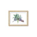 Picture of Succulent Group _GroupedProduct_Rectangle_Landscape_Framed_Matted_