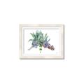 Picture of Succulent Group _GroupedProduct_Rectangle_Landscape_Framed_Matted_