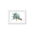 Picture of Succulent Group _GroupedProduct_Rectangle_Landscape_Framed_Matted_