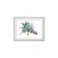 Picture of Succulent Group _GroupedProduct_Rectangle_Landscape_Framed_Matted_