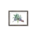 Picture of Succulent Group _GroupedProduct_Rectangle_Landscape_Framed_Matted_