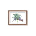 Picture of Succulent Group _GroupedProduct_Rectangle_Landscape_Framed_Matted_