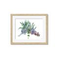 Picture of Succulent Group _GroupedProduct_Rectangle_Landscape_Framed_Matted_