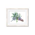 Picture of Succulent Group _GroupedProduct_Rectangle_Landscape_Framed_Matted_
