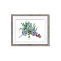 Picture of Succulent Group _GroupedProduct_Rectangle_Landscape_Framed_Matted_