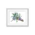 Picture of Succulent Group _GroupedProduct_Rectangle_Landscape_Framed_Matted_