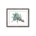 Picture of Succulent Group _GroupedProduct_Rectangle_Landscape_Framed_Matted_
