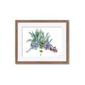 Picture of Succulent Group _GroupedProduct_Rectangle_Landscape_Framed_Matted_