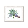 Picture of Succulent Group _GroupedProduct_Rectangle_Landscape_Framed_Matted_