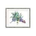 Picture of Succulent Group _GroupedProduct_Rectangle_Landscape_Framed_Matted_