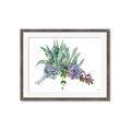 Picture of Succulent Group _GroupedProduct_Rectangle_Landscape_Framed_Matted_