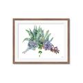 Picture of Succulent Group _GroupedProduct_Rectangle_Landscape_Framed_Matted_