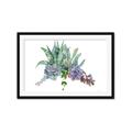 Picture of Succulent Group _GroupedProduct_Rectangle_Landscape_Framed_Matted_